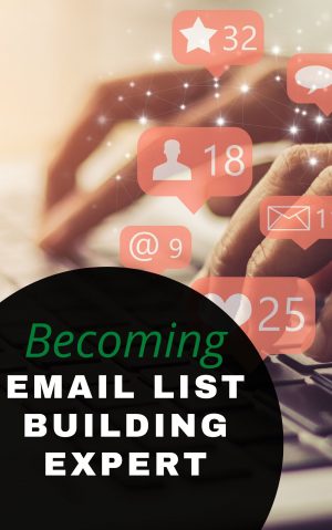 Becoming an email list building expert